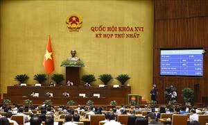 Kỳ họp thứ Nhất, Quốc hội làm việc thêm 0,5 ngày