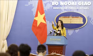 Bảo hộ 14 công dân Việt Nam tại Philippines