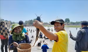 Lễ hội Phá Bàu của dân tộc Khmer ở Bình Phước