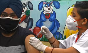 Ấn Độ cho phép thử nghiệm vaccine Covovax ngừa COVID-19 làm mũi tiêm tăng cường 