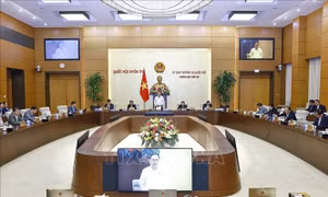 Đánh giá việc triển khai thực hiện quy định về dạy thêm, học thêm