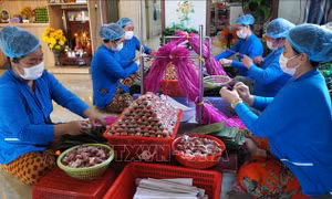Đồng Tháp: Tổng doanh thu của làng nghề, làng nghề truyền thống hơn 2.000 tỷ đồng/năm