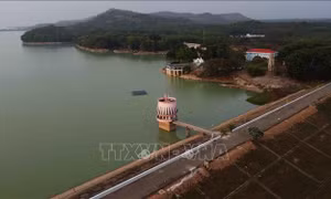 Khai thác đa mục tiêu, giá trị hồ Dầu Tiếng