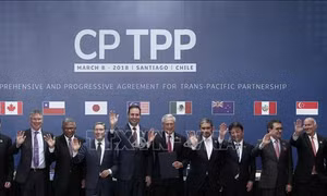 Cánh cửa tương lai rộng mở của CPTPP