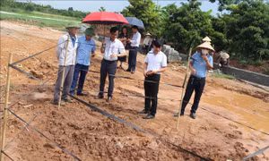 Hà Nội: Khai quật khảo cổ khẩn cấp kiến trúc mộ gạch