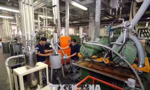 30 năm thu hút FDI - Bài 1: Câu chuyện mở rộng sản xuất ở một doanh nghiệp 