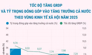 Tốc độ tăng GRDP và tỷ trọng đóng góp vào tăng trưởng cả nước