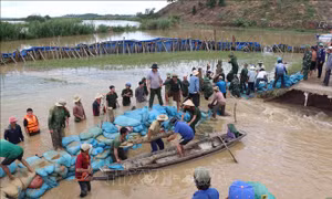 Lực lượng vũ trang cùng người dân hộ đê cứu lúa