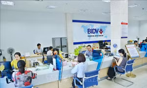 Vinh danh các ngân hàng tiêu biểu năm 2019