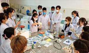 Phê duyệt đề án đào tạo nhân lực chất lượng cao ở Nga, Trung Quốc, các nước Đông Âu và các nước thuộc Liên Xô cũ 