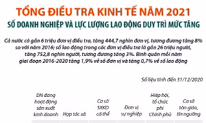 Tổng điều tra kinh tế năm 2021: Số lượng và lao động của các đơn vị điều tra
