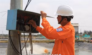 Giảm áp lực cung cấp điện bằng các giải pháp tiết kiệm – Bài 2: Hiệu quả từ thực tế