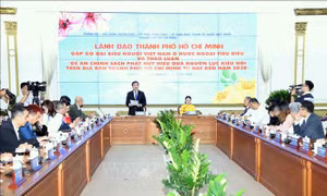 Kiều bào hiến kế sử dụng hiệu quả nguồn kiều hối