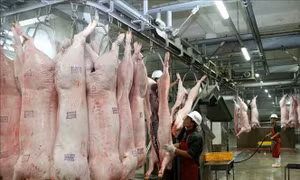 Tăng hiệu lực quản lý về an toàn thực phẩm trong tình hình mới