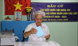 Khai mạc bầu cử sớm tại xã cù lao Tân Phú Đông của tỉnh Đồng Tháp