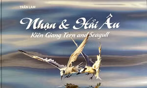 Vũ khúc trên biển Nam