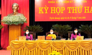 Tuyên Quang thực hiện phương châm 'Kinh tế vì Y tế và Y tế vì Kinh tế'