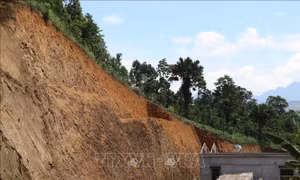 Điện Biên: Khẩn trương di dời các hộ dân bản Mường Tỉnh A ra khỏi vùng nguy cơ sạt lở