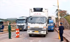 Sau nghỉ Tết, Quảng Ninh có 120 xe hàng xuất nhập khẩu qua Móng Cái