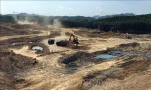 Thừa Thiên – Huế: Sẽ xử lý nghiêm doanh nghiệp vi phạm trong khai thác tài nguyên 