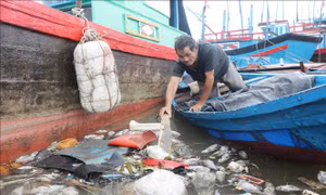 Làm rõ nguyên nhân cá lồng nuôi trên sông Lễ Thịnh chết hàng loạt