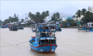 Khánh Hòa chủ động ứng phó tình hình mưa lũ