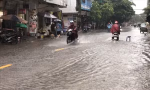 Theo dõi chặt chẽ diễn biến áp thấp nhiệt đới để chủ động ứng phó 