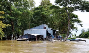 'Chòng chành' đường đến trường của học sinh vùng lũ An Giang