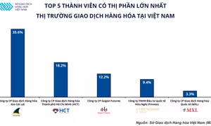 Thị phần môi giới hàng hóa trong năm 2021 ổn định và cân bằng hơn năm ngoái