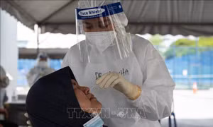 Malaysia cho phép học sinh tiểu học xét nghiệm COVID-19 tại nhà 