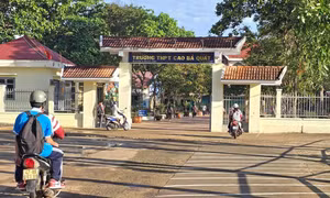 Đắk Lắk miễn nhiệm một hiệu trưởng nhiều lần vi phạm