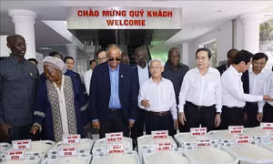 Chủ tịch Quốc hội Trần Thanh Mẫn và Chủ tịch Quốc hội Côte d'Ivoire thăm mô hình phát triển nông nghiệp tại Cần Thơ