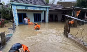 Hội Chữ thập đỏ Việt Nam cứu trợ khẩn cấp cho người dân Bình Định, Phú Yên