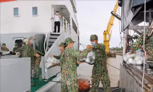 Hải quân vùng 2 hỗ trợ Đồng Tháp vận chuyển nông sản đi TP Hồ Chí Minh tiêu thụ