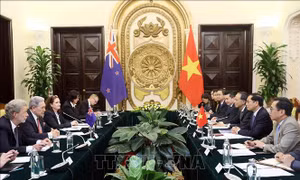 Phát triển tích cực, hiệu quả quan hệ Đối tác chiến lược Việt Nam - New Zealand