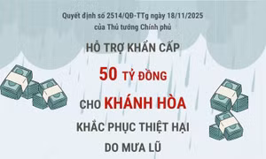 Hỗ trợ khẩn cấp 50 tỷ đồng cho Khánh Hòa khắc phục thiệt hại do mưa lũ