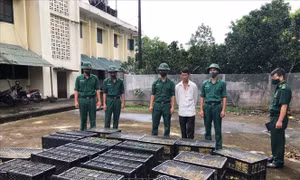 Bắt giữ đối tượng vận chuyển trái phép vịt giống từ nước ngoài vào Việt Nam 