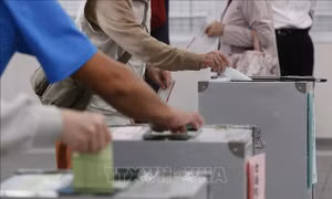 Những ngã rẽ khó đoán