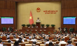 Kết quả lấy phiếu tín nhiệm đòi hỏi nỗ lực hơn để đáp ứng yêu cầu của nhân dân và cử tri