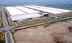 'Xanh hóa' khu công nghiệp: Hứa hẹn tầm nhìn mới tương lai 