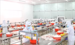 Các doanh nghiệp TP Hồ Chí Minh ra quân sản xuất đầu năm
