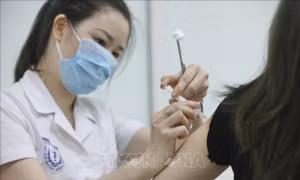 Hoàn tất 1.000 mũi đầu tiên thử nghiệm giai đoạn 3 vaccine Nano Covax