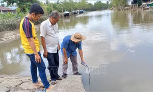 Các địa phương cần tích trữ nước ngọt ứng phó xâm nhập mặn