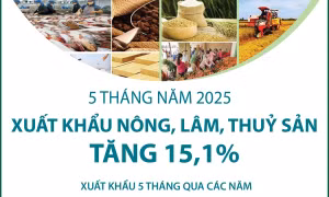 5 tháng năm 2025: Xuất khẩu nông, lâm, thủy sản tăng 15,1%