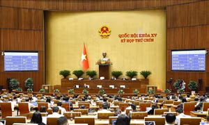 Kỳ họp thứ 9, Quốc hội khóa XV: Thông qua Luật Cán bộ, công chức (sửa đổi)