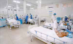 BV Trung ương Huế được trao tặng Giải thưởng Platinum của Hội Đột quỵ thế giới 