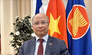 Đại sứ Đinh Toàn Thắng: Nhiều dư địa làm sâu sắc hơn quan hệ Việt Nam - Pháp