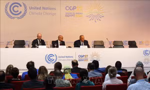 COP27: Thông qua thỏa thuận khí hậu tổng quát cuối cùng 