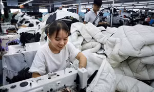 Việt Nam - Hàn Quốc tăng cường hợp tác đầu tư trong lĩnh vực dệt may