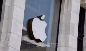 Citi: Apple sẽ vượt Nvidia để thống trị thị trường cổ phiếu AI 
